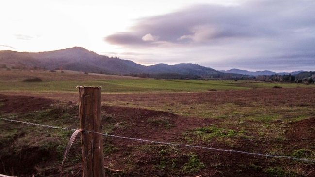 Un carabinero resultó herido por perdigones en Región de La Araucanía