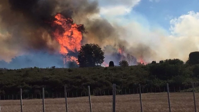 Onemi decretó alerta amarilla por incendio forestal en Punta Arenas