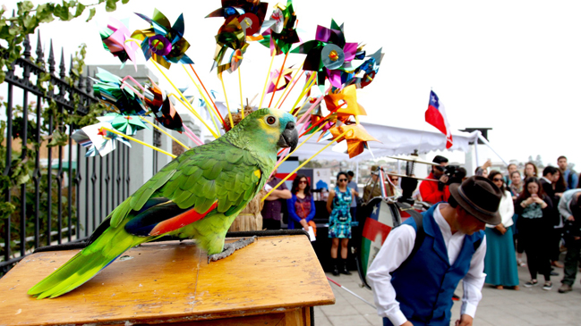 Festival de las Artes de Valparaíso tendrá más de 60 actividades veraniegas