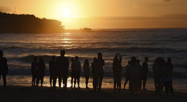 Tiburón mordió a niño de once años en playa de Australia