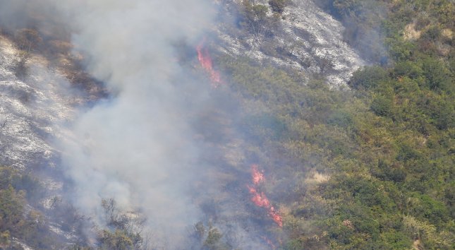Incendio en la Comuna de Hualqui lleva 50 hectáreas consumidas