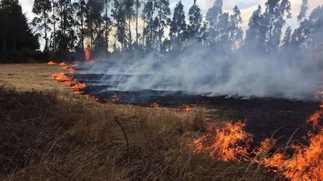 Onemi declaró alerta roja por incendios forestales en Valparaíso y O'Higgins