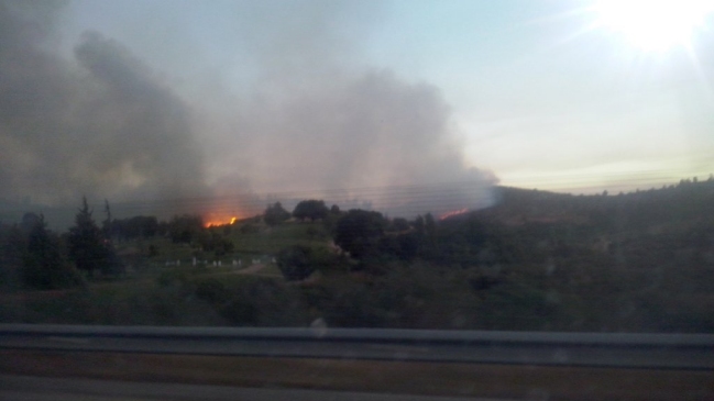 Onemi decretó nueva alerta roja por incendio forestal en Villa Alemana