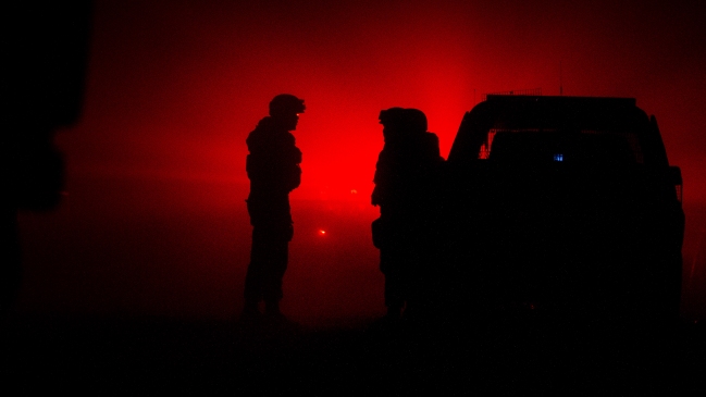 Encapuchados protagonizaron ataque incendiario en predio forestal de Traiguén