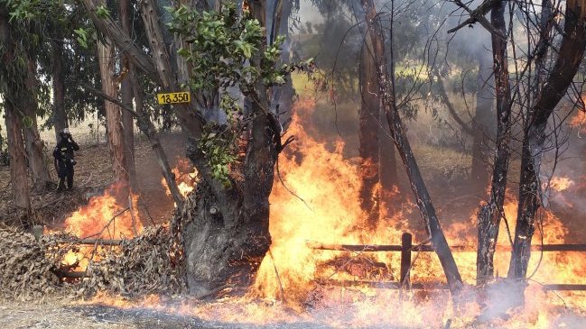 Onemi declaró Alerta Roja para Quintero y Puchuncaví por incendio forestal
