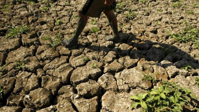 Más de 60 millones de personas en el mundo padecerán los efectos de El Niño