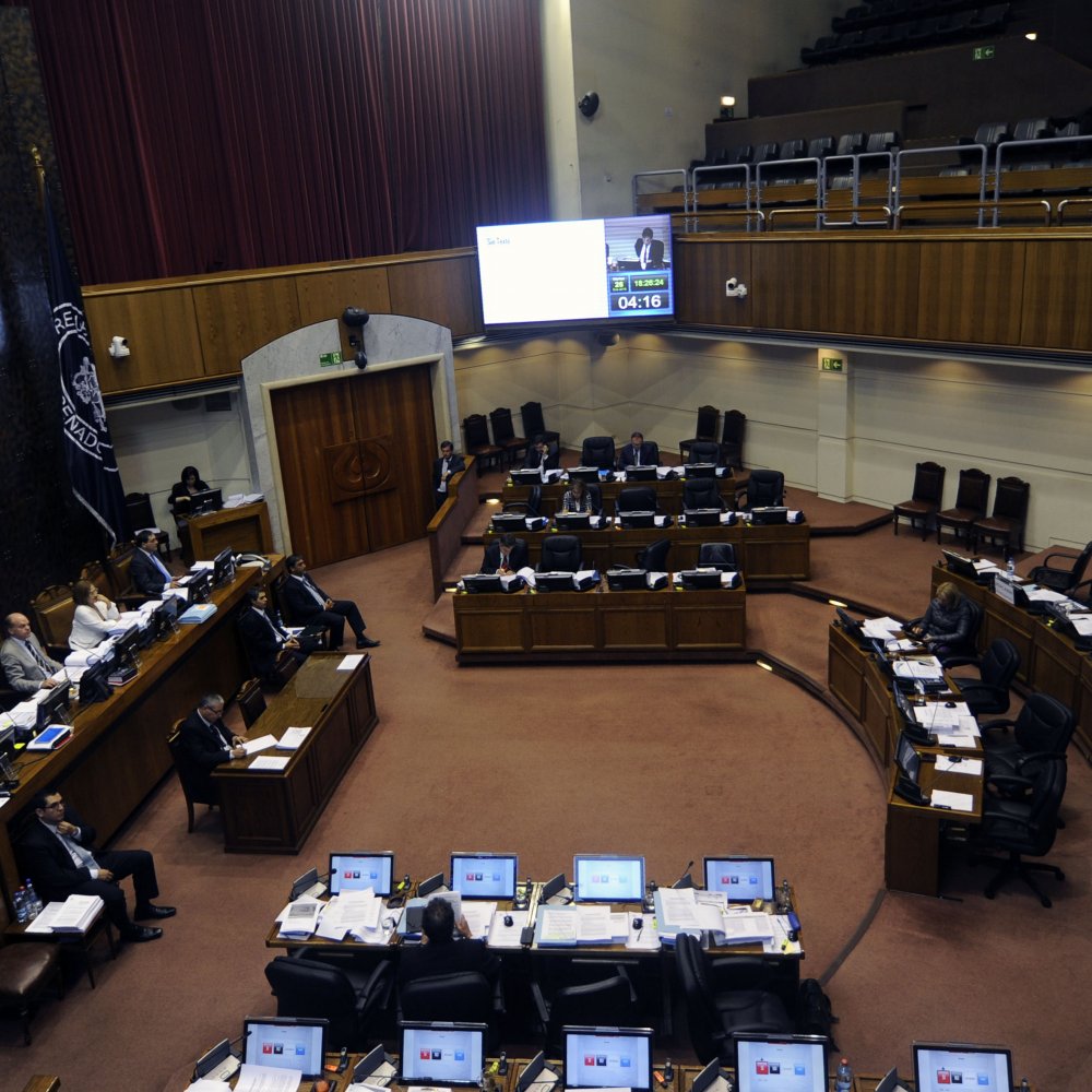 Senado despachó carrera docente sin indicación que permitía lucro en capacitación