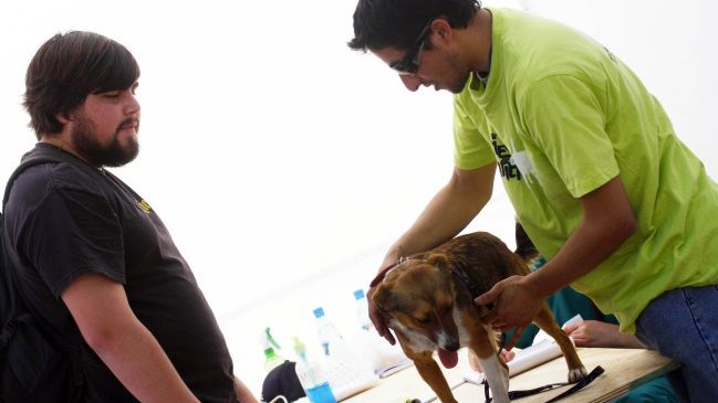 ISP facilitará a veterinarios acceso a medicamentos de uso humano
