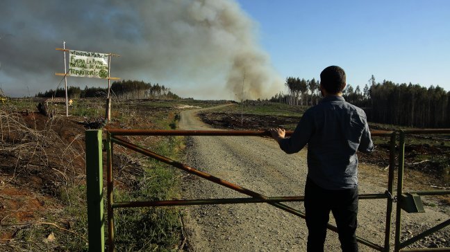 Intendente del Biobío buscará frenar atentados en la provincia de Arauco