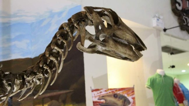 Descubren un nuevo dinosaurio en Tailandia al que conceden nombre de realeza