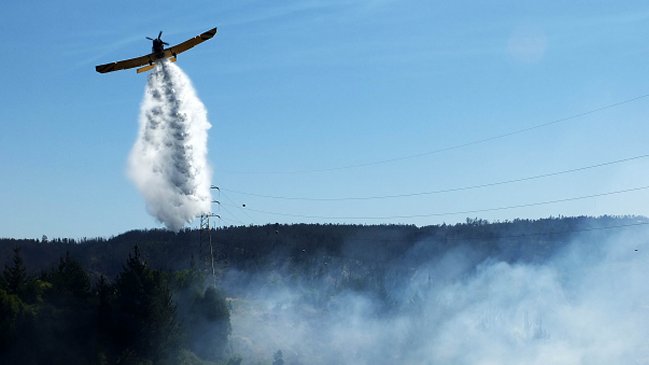 Gobierno se querelló contra detenidos por incendio forestal en San Pedro de la Paz