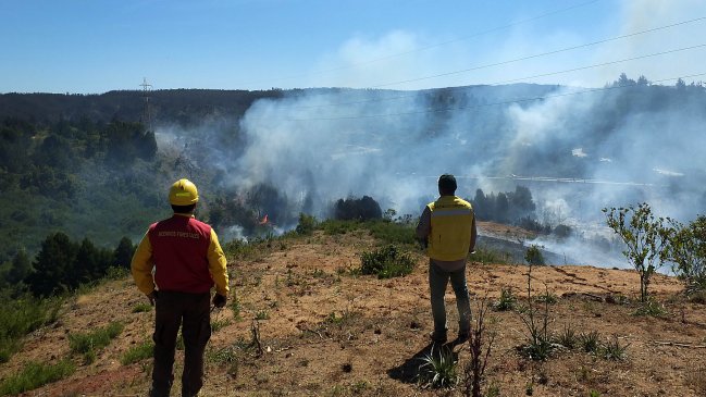 Onemi declaró alerta roja en Puerto Montt por incendios forestales