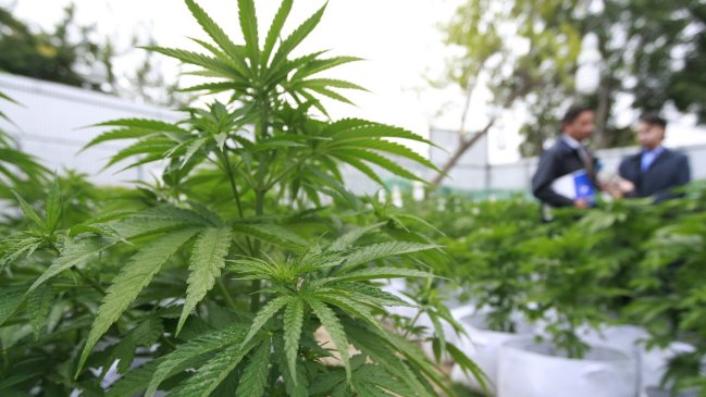 Injuv: Queremos estar presentes en el debate sobre aborto y consumo de marihuana