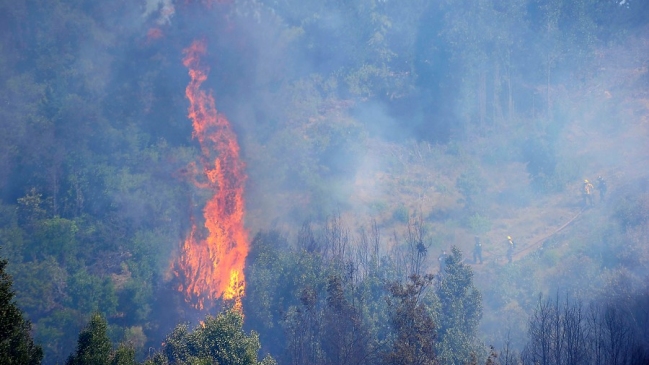 Incendio amenaza a casas de San José de la Mariquina