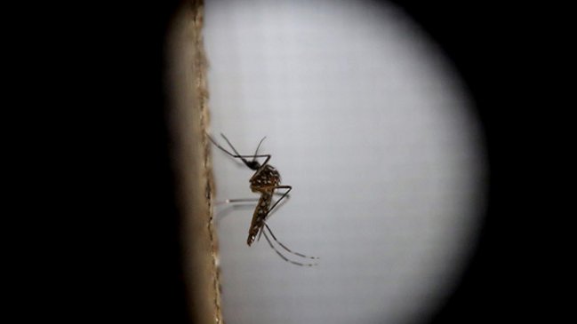 China confirmó el primer caso de Zika en un hombre que viajó a Venezuela