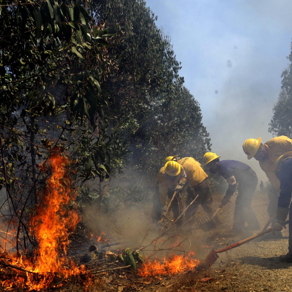 Brigadas de Conaf continúan combate de incendio forestal en Mariquina