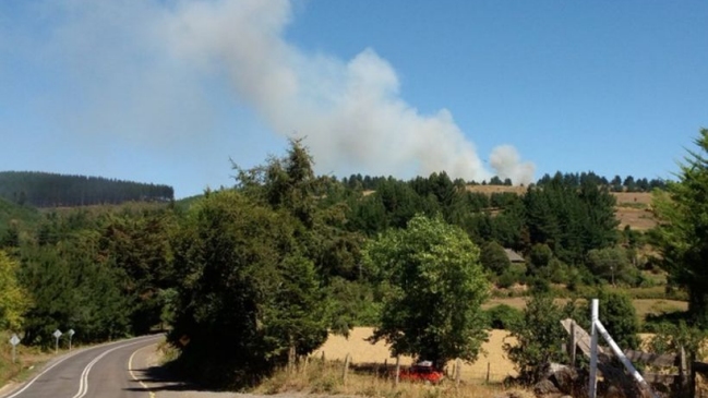 Al menos siete hectáreas consume incendio forestal en cerro Ñielol de Temuco