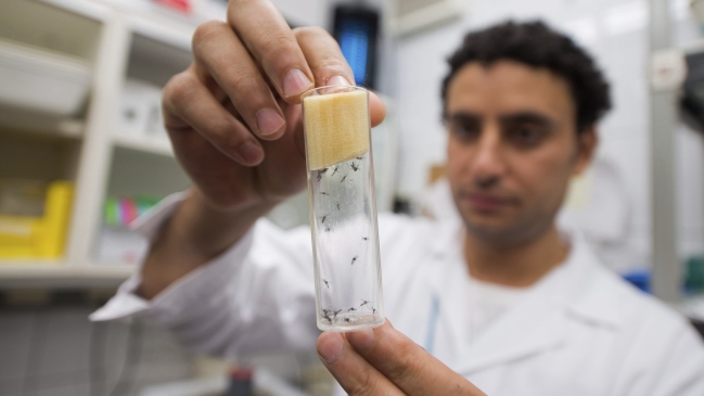 Hombre de 94 años es la primera víctima de la epidemia de dengue en Argentina