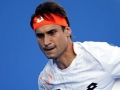 David Ferrer 