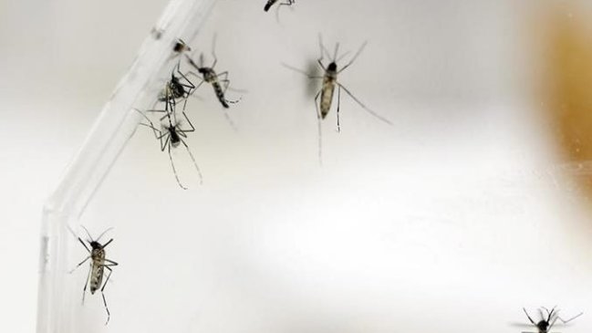 El virus del Zika costará a Latinoamérica 4.000 millones de dólares en 2016