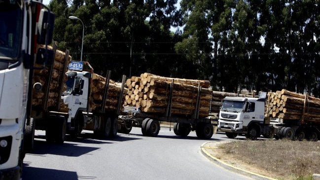 Louis de Grange: Peaje de camiones es fuertemente subsidiado por automovilistas
