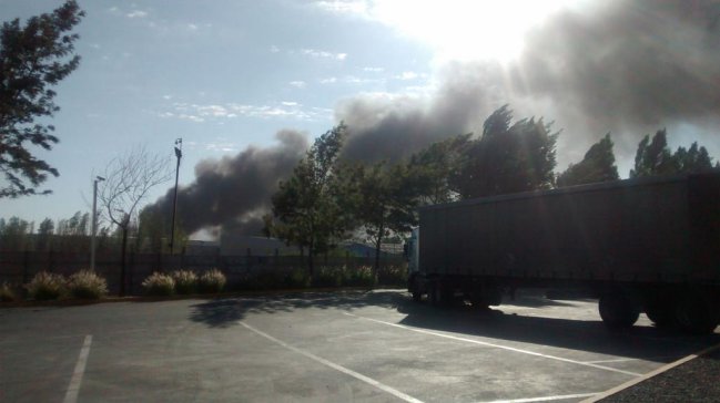Bomberos controló incendio en fábrica de pallets en Pudahuel