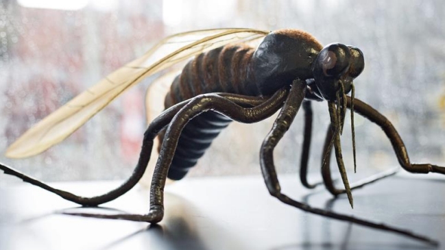 ONU entregará tecnología nuclear a Brasil para combatir el Zika