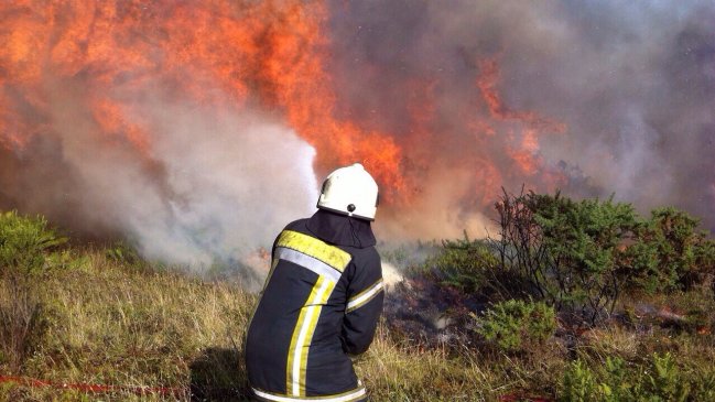 Incendios Forestales: Autoridades decretaron alerta roja en Huechuraba y San Pedro