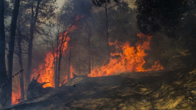 Autoridades dan por superada emergencia por incendio en Padre Hurtado