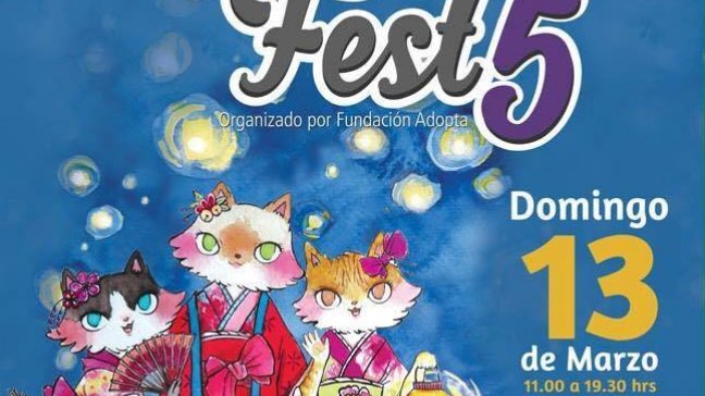 Los detalles de la nueva versión de 