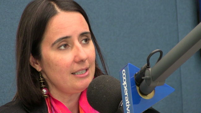 Amnistía Internacional: El aborto debiera dejar de ser delito en todos los casos