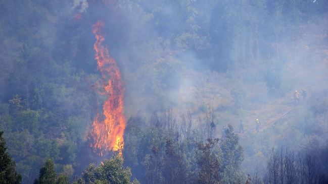Onemi decretó alerta roja en Lumaco y Purén por incendio forestal