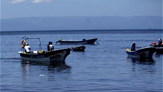 Autoridad sanitaria detectó presencia de marea roja en Bahía de Coronel