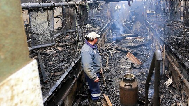 Director de la PDI descartó que delitos en zona de La Araucanía sean terroristas