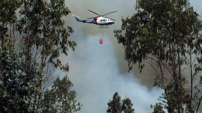 Onemi decretó alerta roja por incendio en Valparaíso