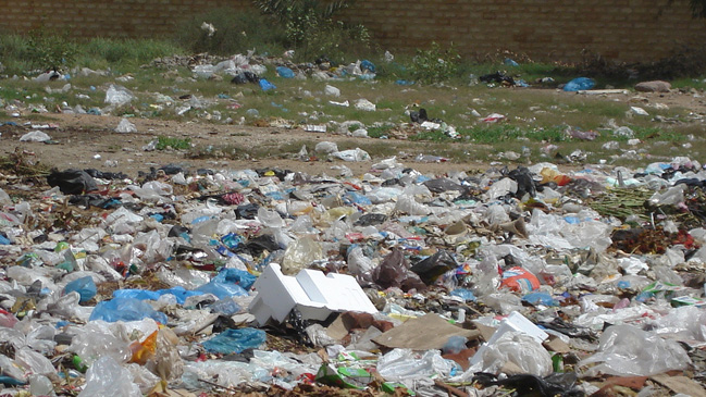 Descubren una bacteria que descompone el plástico