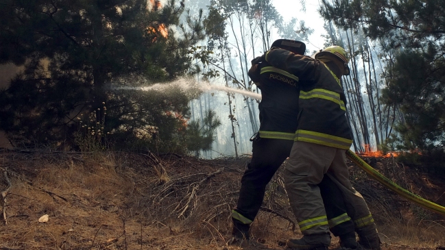 Autoridades controlaron incendio en santuario de cipreses tras cinco días de labores
