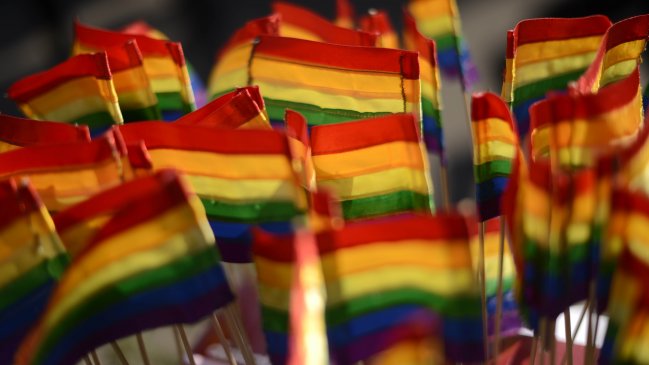 Movilh: El 2015 fue el 