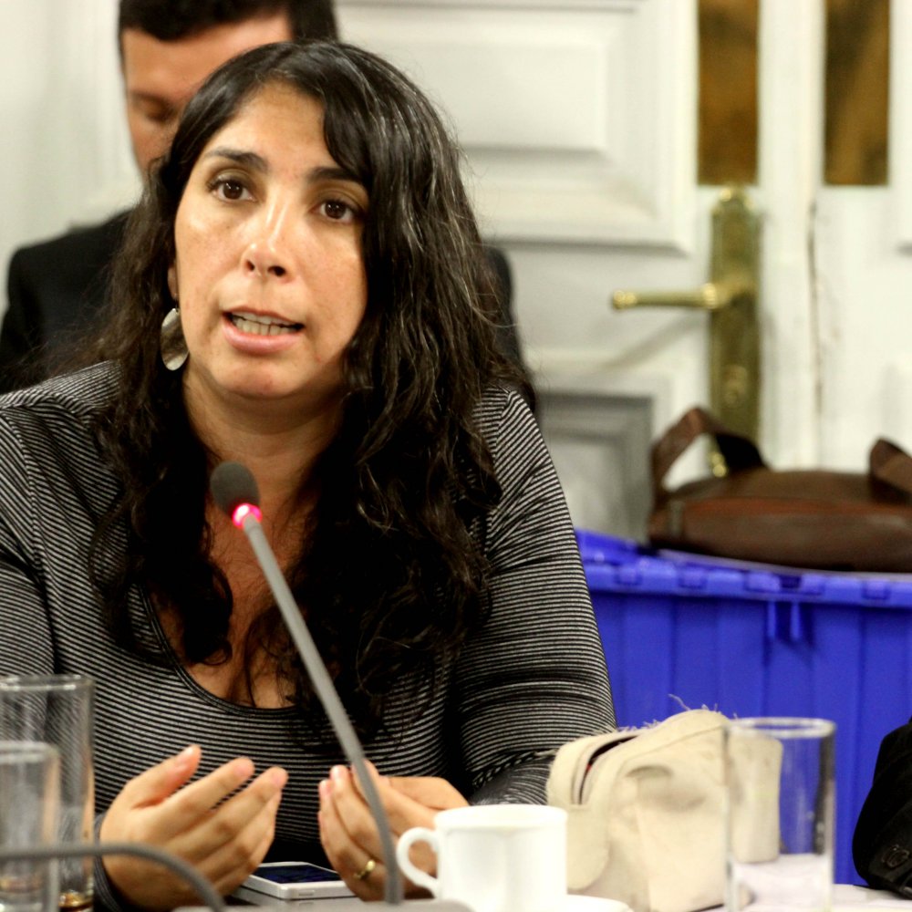 Diputada Karla Rubilar fue internada en UCI de clínica capitalina