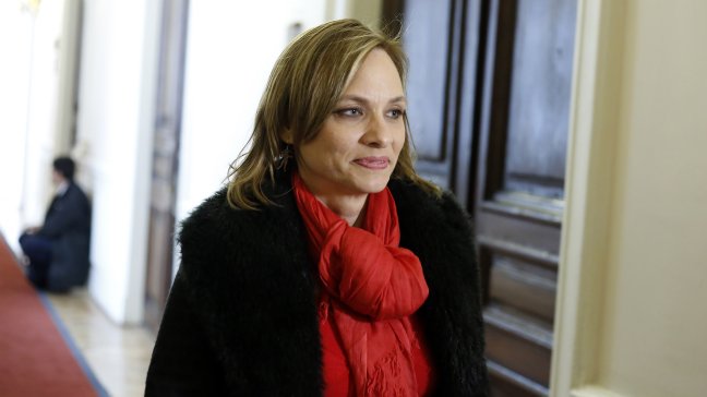 Goic rechazó dichos de Girardi: Creemos que hay ser humano desde la concepción