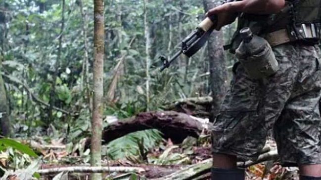 A 10 suben los muertos en emboscada terrorista en selva de Perú