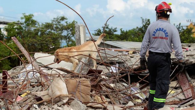Ecuador eleva a 350 la cifra de fallecidos por terremoto de 7,8 Richter