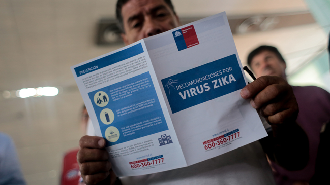 Arica: Confirman aparición de nuevos ejemplares del mosquito del Zika
