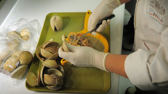 Seremi de Salud por marea roja en Los Lagos: El fenómeno va en aumento