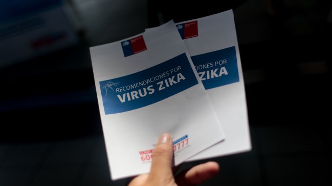 Ministerio de Salud ratificó que no hay casos de virus Zika en Arica