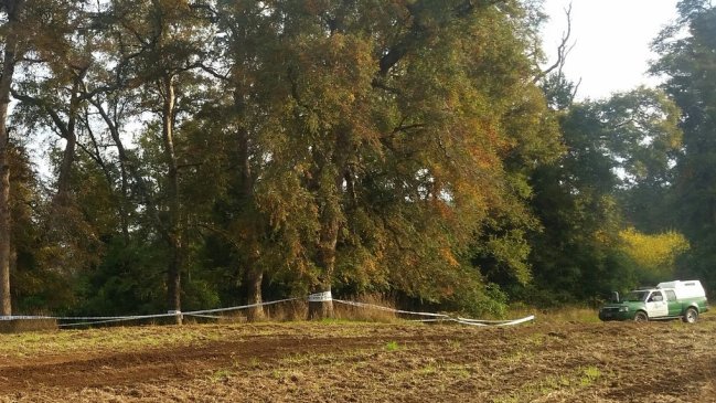 Este lunes el SML exhumará restos que podrían pertenecer a detenidos desaparecidos