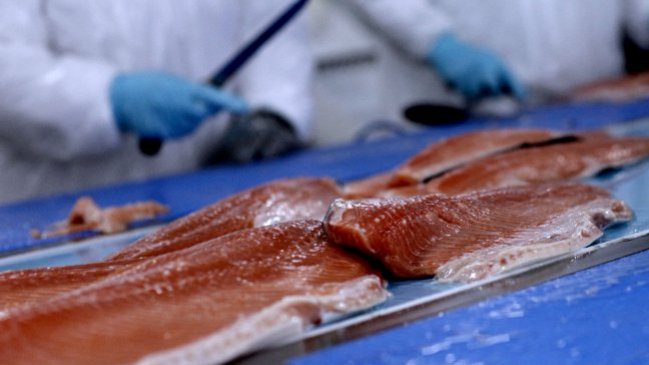 Sernapesca descartó relación entre vertido de salmones y marea roja