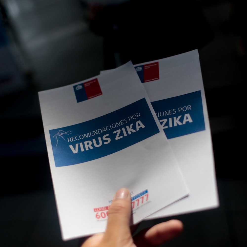 Arica: Ocho mil personas presentaron cuadros febriles tras detectarse mosquito del Zika