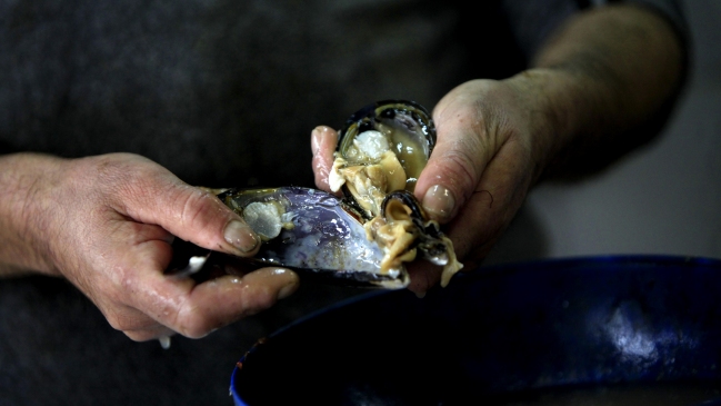 Seremi de Salud investiga presuntas intoxicaciones por marea roja en Puerto Montt