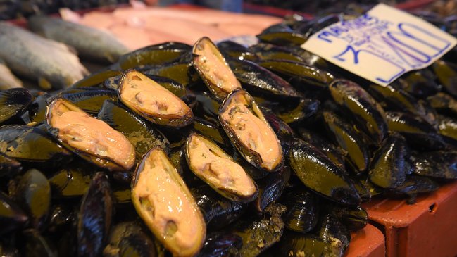 Subsecretario no descartó que marea roja llegue a Región de La Araucanía